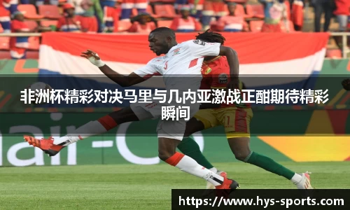非洲杯精彩对决马里与几内亚激战正酣期待精彩瞬间